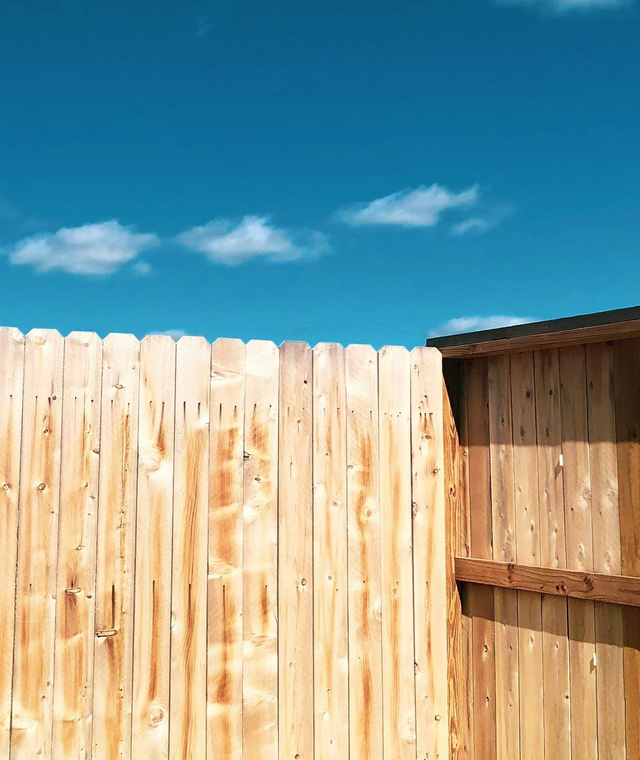 brown wooden fence under blue sky during daytime
